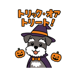 Happy Halloween with a Schnauzer