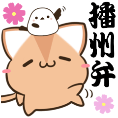 播州弁のアビシニアンとシマエナガ