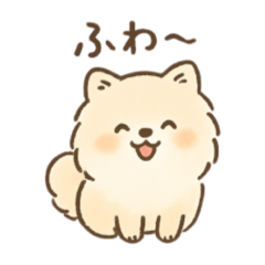 latte store_20251020205433