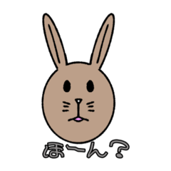 bu rabbit