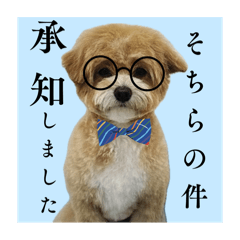 uchinokotachi_20251021015321