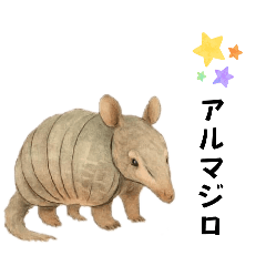 Ringo_20251021030114