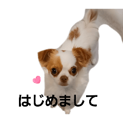 ririkaeru_20251020213053