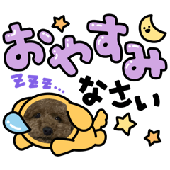 sakura_20251020212426