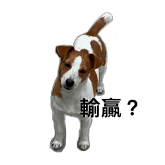 黑皮狗子（穿插奶酒胖子）