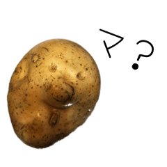 asako_20251020195926