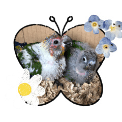 Sun eang up to mischief