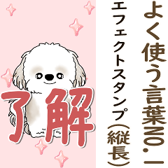 背景が動くシーズー犬「よく使う言葉」NO.1