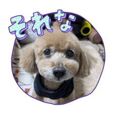 happy_20251020214832