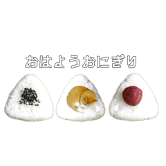 kinako_20251020215402