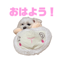 tiana_20251021125754