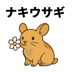 Ezo pika