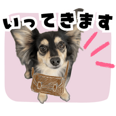 Latte Daily Life Stickers