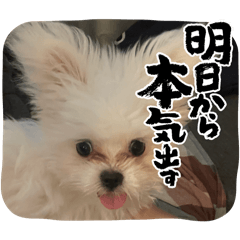 kanaminonono_20251021142312