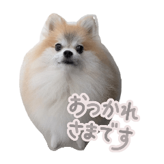 mugigi_20251021150830