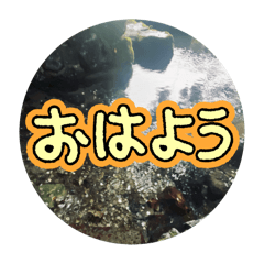 hana_20251021111108