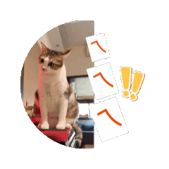 Michelle_20251020173343