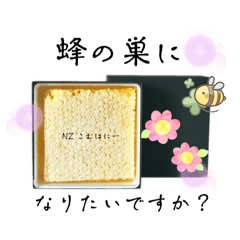 Honey Traveling Around The World