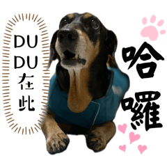 DUDU系列