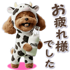 牛化したトイプードル