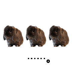 yutaka_20251021132607