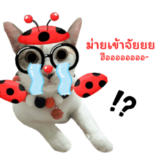 Sutthida_20251020195816