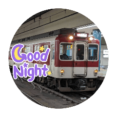 Trains seen at Namba and Ikoma station