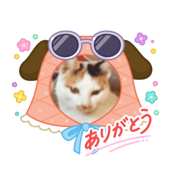 kazue_20251021162831