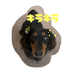 satosan_20251021175651