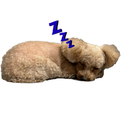 Matsu_20251021180530