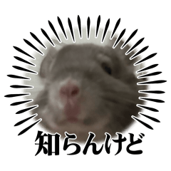 Neo no design_20251021222323