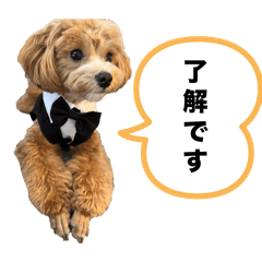 tukune_20251021222357