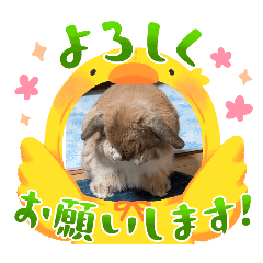 kurumi_20251021185622