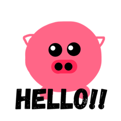 hello pigs