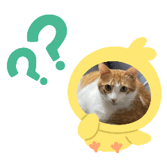 咪咪活潑開朗樂園