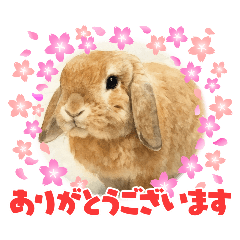 kurumi_20251021193831