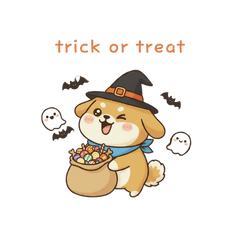 The Healing Shiba Inu (Autumn to Winter)