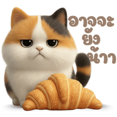 MyMandie's Fat Cat V1