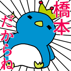 [HASHIMOTO Only]Chubby Penguin