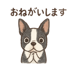 Bosutonteria stamp inu