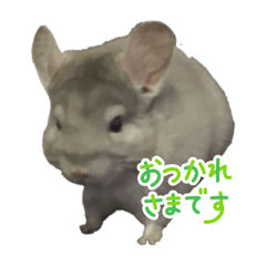 Neo no design_20251021215710