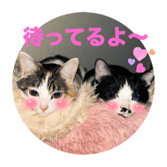 yuka_20251022072956