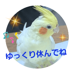 Chestnuts_20251022075640