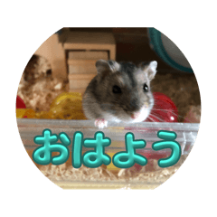 keiman_20251021230433