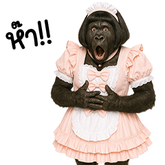 กอลิชุดหวานแหวว