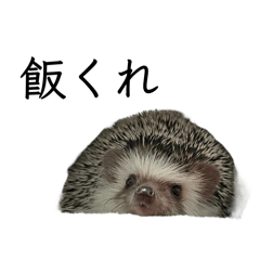 M_20251021230907