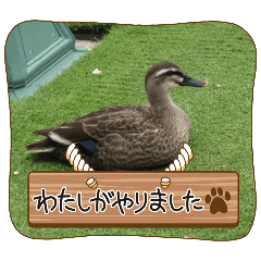 kaoru_20251021205042