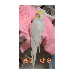 我是阿丁