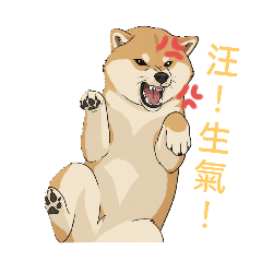 柴犬的日常生用語