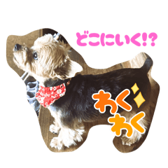 Kai-chan's Grandchild Arrived Series